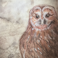 Eileen Beales Owl